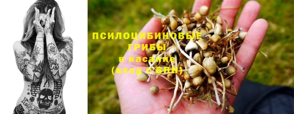 mdpv Алексеевка