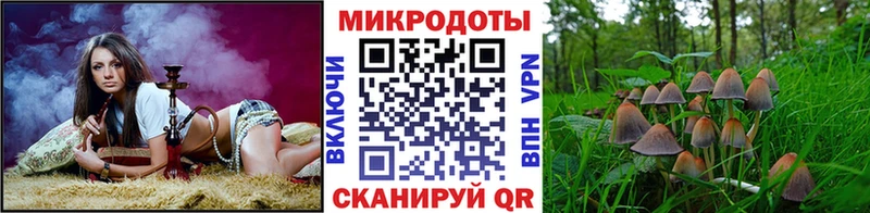 купить наркоту  Дыгулыбгей  блэк спрут ссылки  Галлюциногенные грибы прущие грибы 